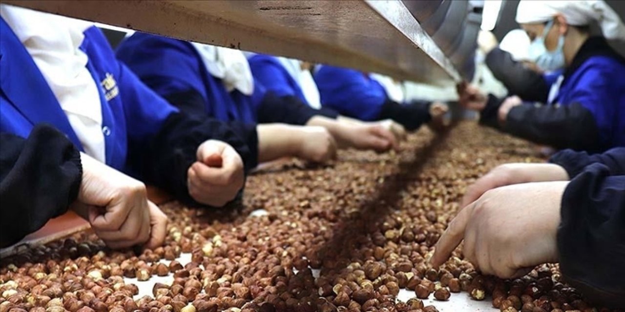 KFMİB Başkanı Sabır'dan fındık üretiminde değişim vurgusu