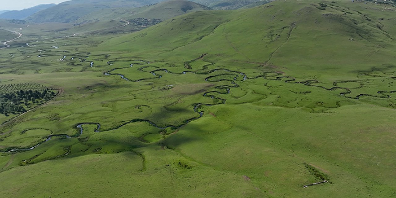 Ordu'nun ünlü Perşembe Yaylası sıcaktan bunalanları rotası