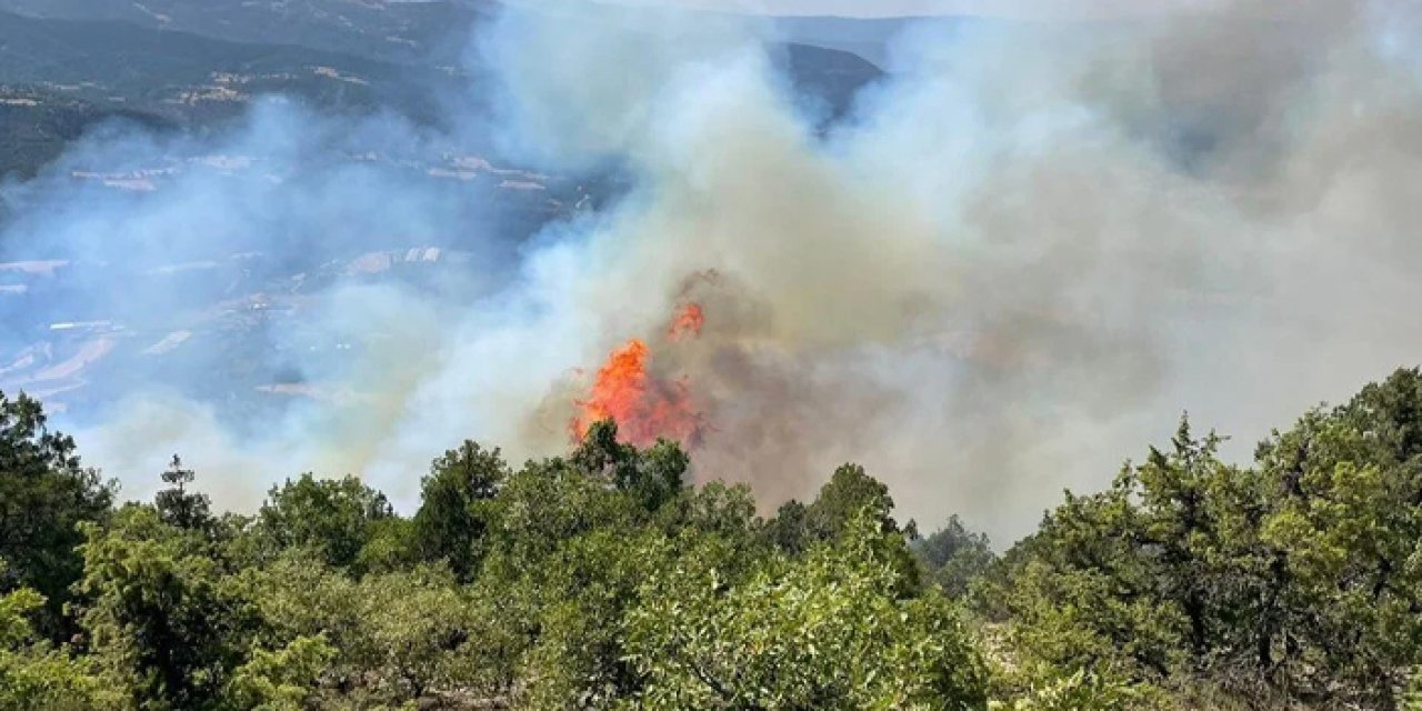 5 ilde orman yangını! Havadan ve karadan müdahale ediliyor