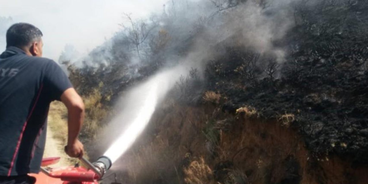 Bayburt'ta mesire alanında yangın