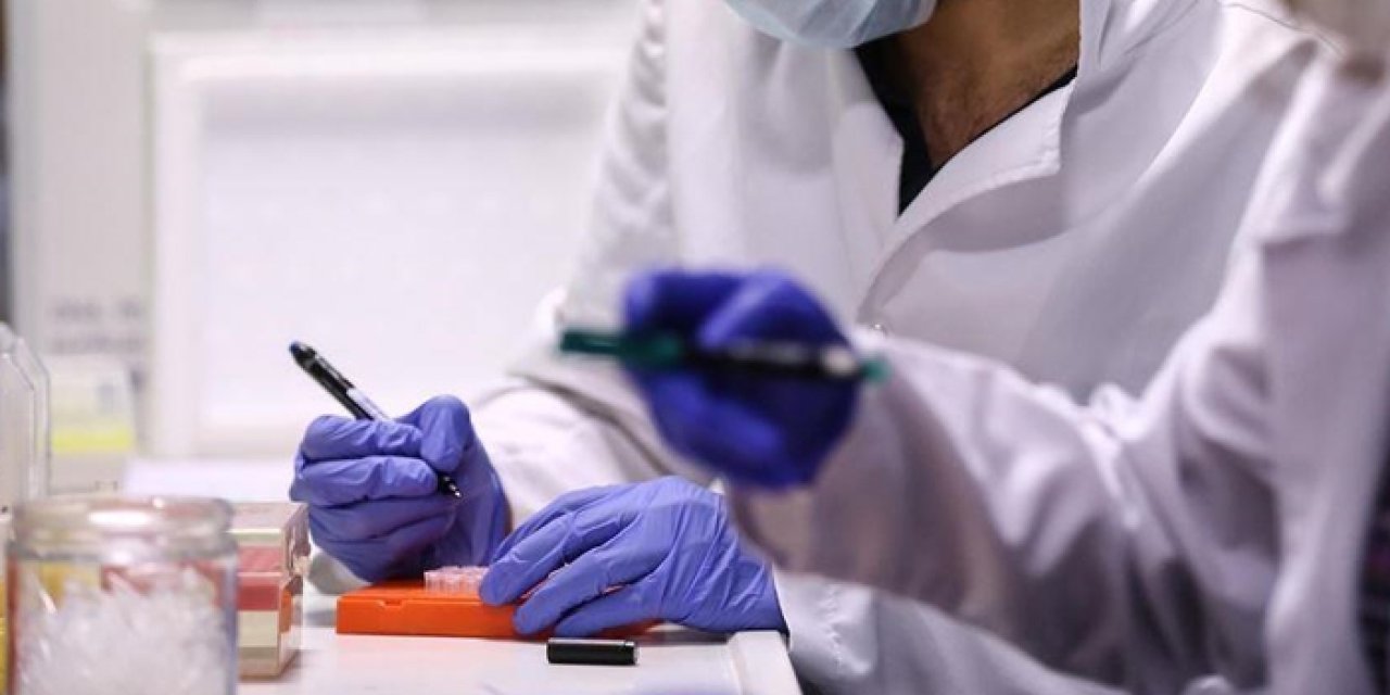 DSÖ'den yeni koronavirüs varyantı uyarısı! İstikrarlı artış söz konusu