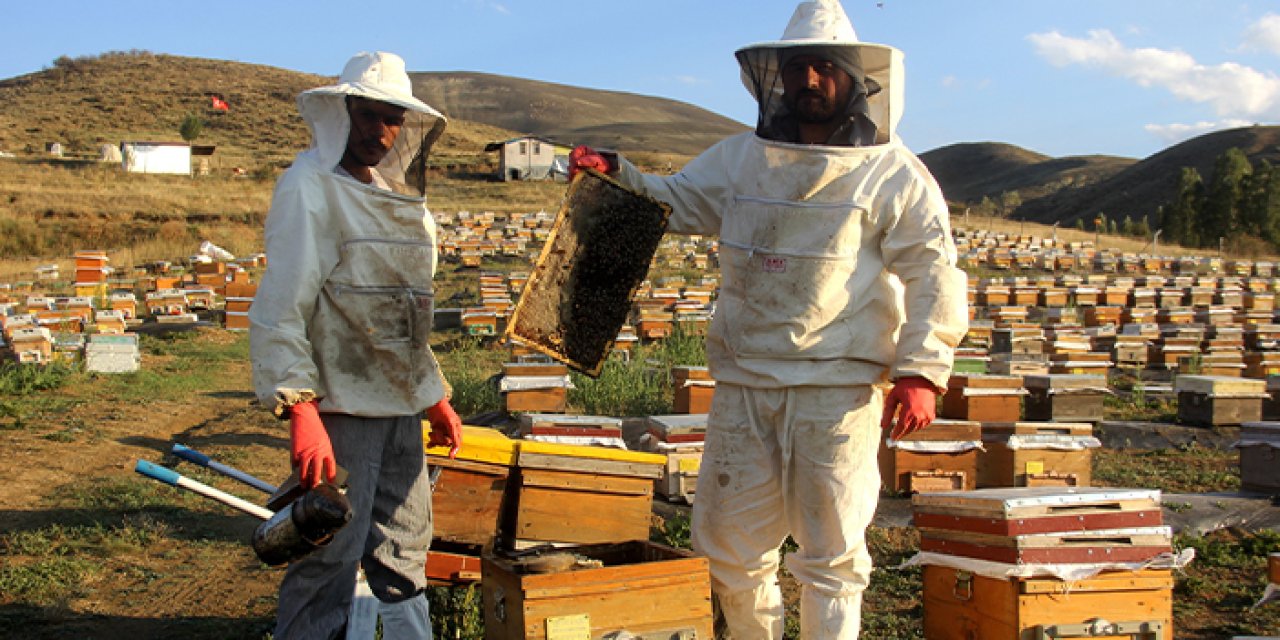Bayburt'ta sıcaklık ve iklim değişikliği bal rekoltesini düşürdü