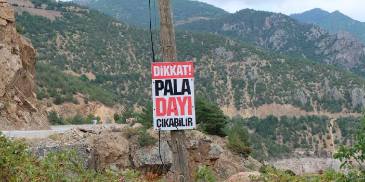 Gümüşhane'de “Dikkat Pala Dayı Çıkabilir” yazılı uyarı tabelası sürücüleri şaşırtıyor