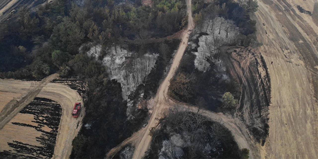 Çanakkale'de orman yangını! 81 vatandaş etkilendi 72 kişinin tedavisi sürüyor
