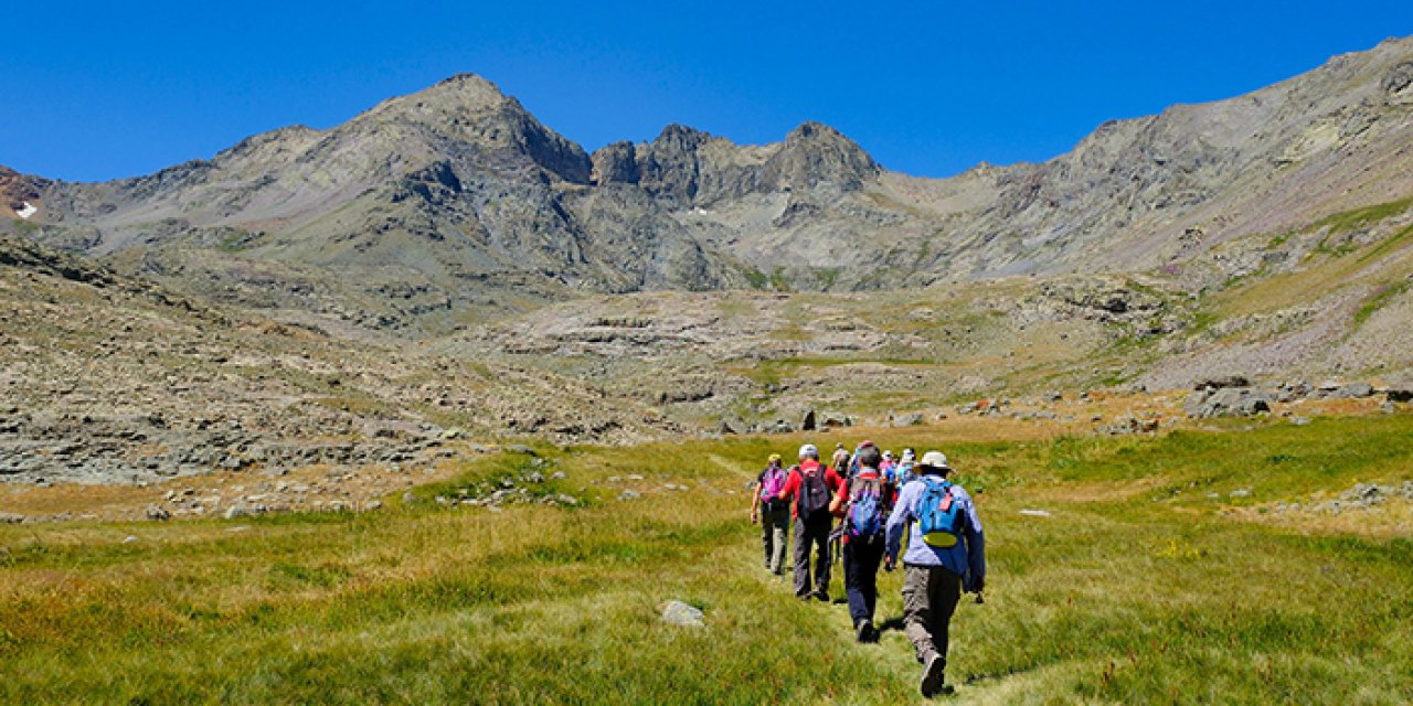 Gümüşhane'ye geldiler! 3 bin metrede serinlediler