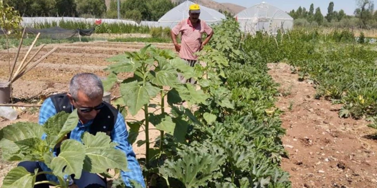 Bayburt Eko-Köyde vatandaşlar kendi hasat ettiği ürünleri satın alabiliyorlar