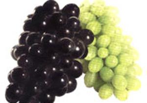 Üzüm Güzellik İksiri