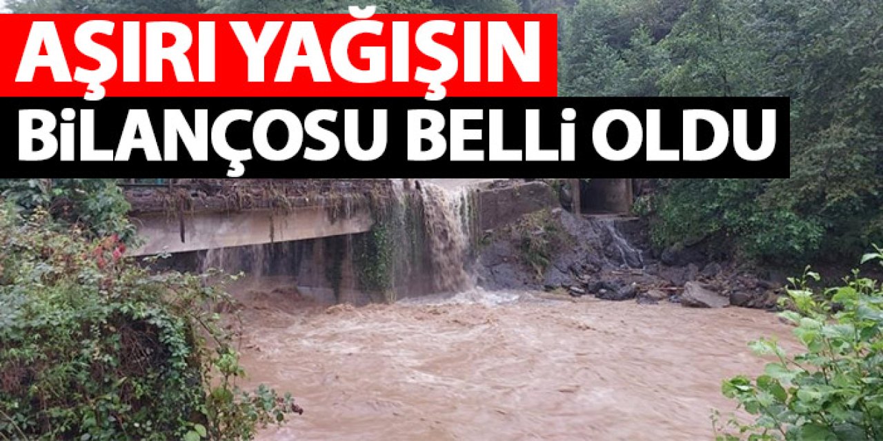 Rize'de yağış sonrası bilanço belli oldu