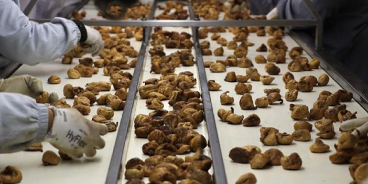 Kuru incirden 11 ayda 241 milyon dolarlık kazanç