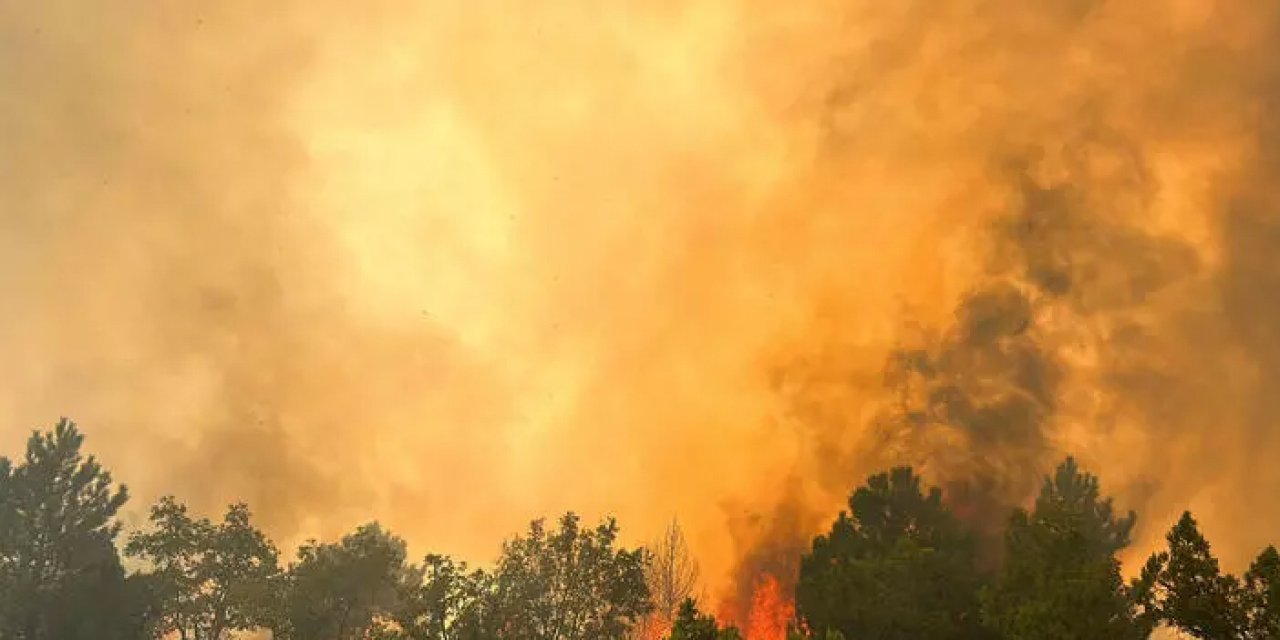 Kütahya'da orman yangını! 30 Ağustos 2023