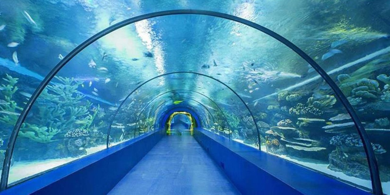 Trabzon’da Akvaryumu kaç kişi ziyaret etti? Kuş Parkı ne zaman açılacak?  Başkan Genç açıkladı