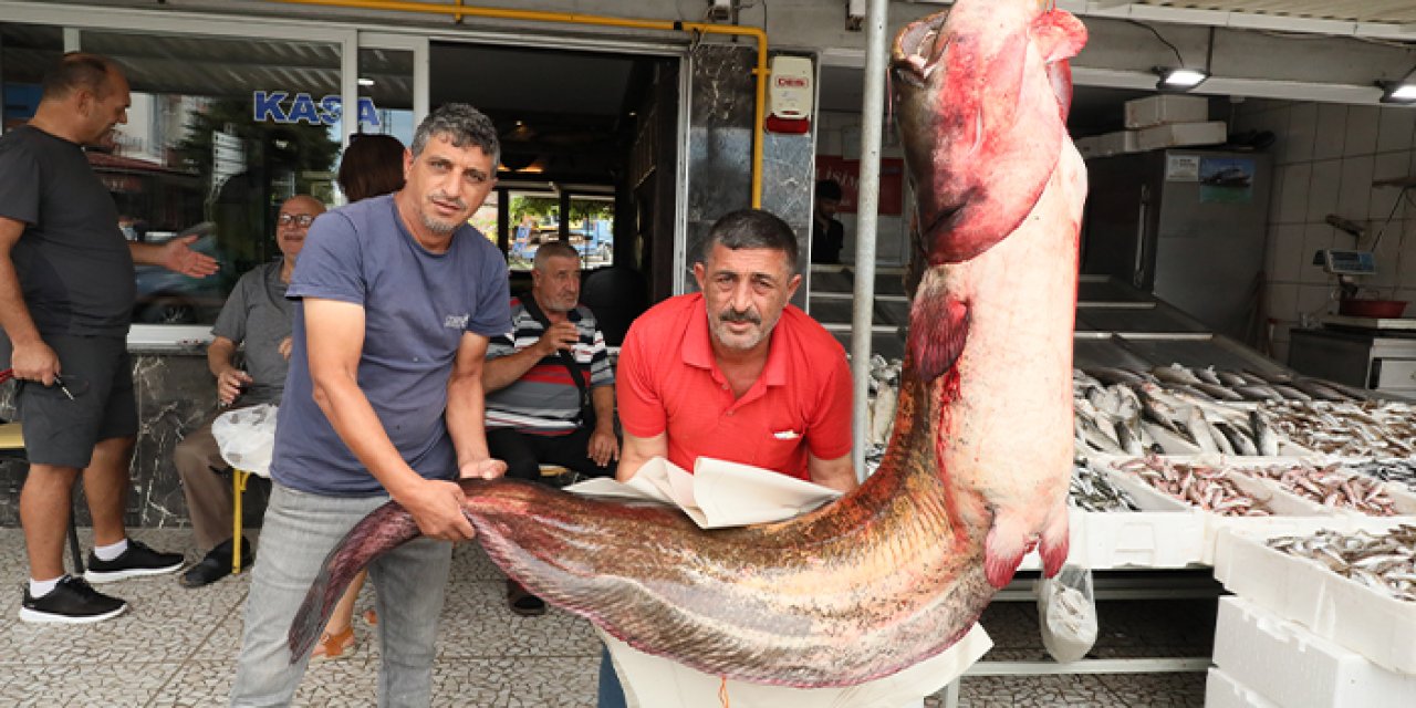 Samsun'da baraj gölünde 94 kilogramlık yayın balığı yakalandı