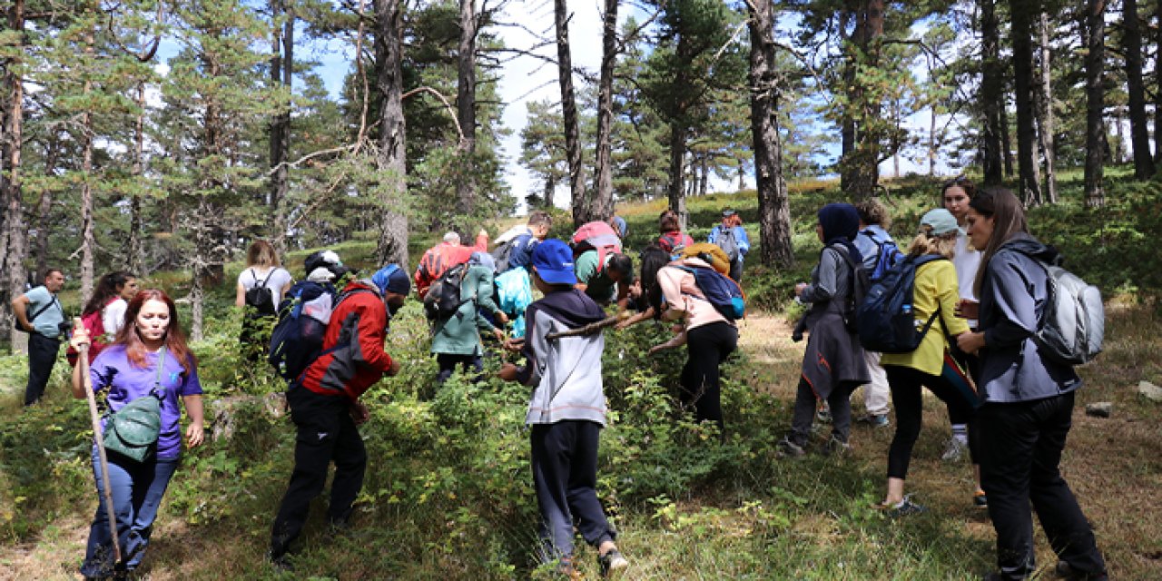 Gümüşhane'de doğa severler hem yürüdü hem likarpa topladı