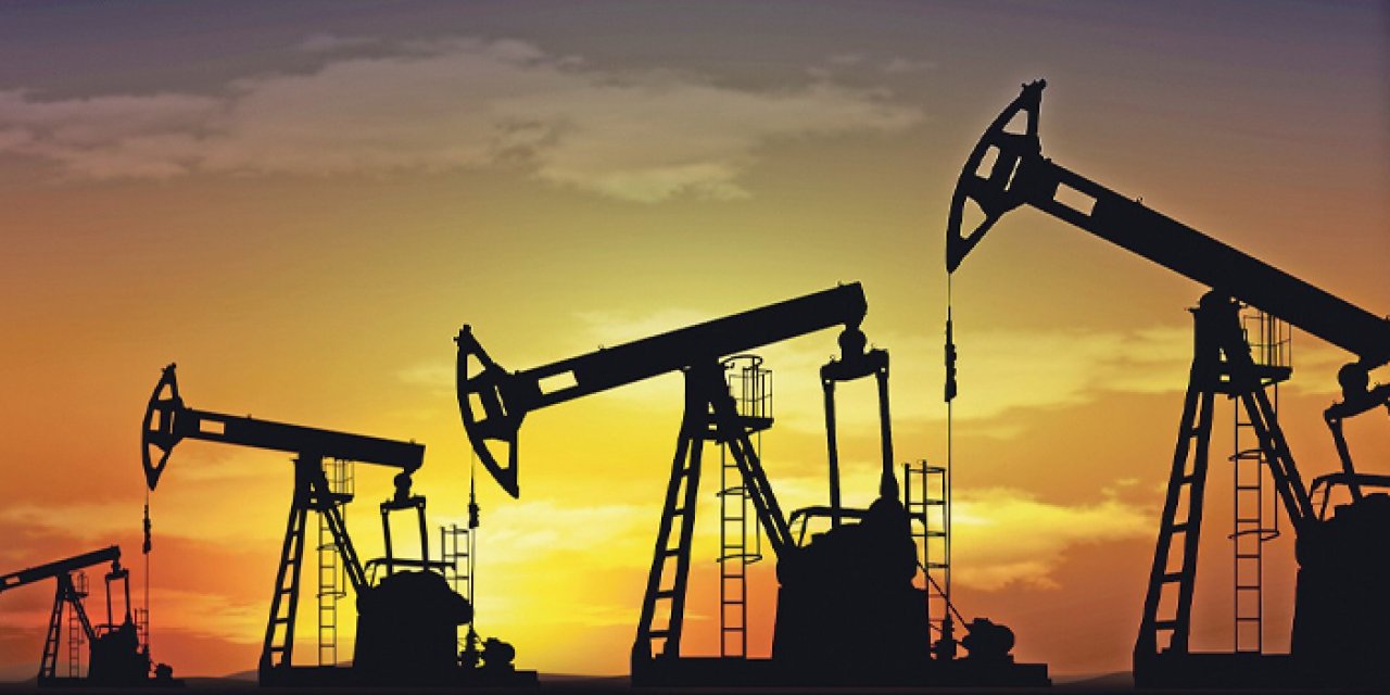 Trabzon'un komşu ilinde petrol potansiyelini belirlemek için örnekler alındı