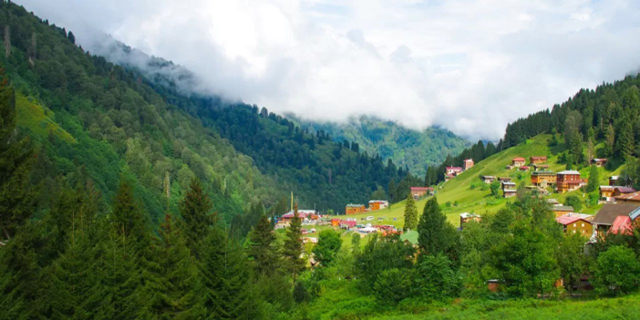 Doğu Karadeniz'de kaç il var? Doğu Karadeniz illeri hangileridir? Doğu Karadeniz illeri nüfusu