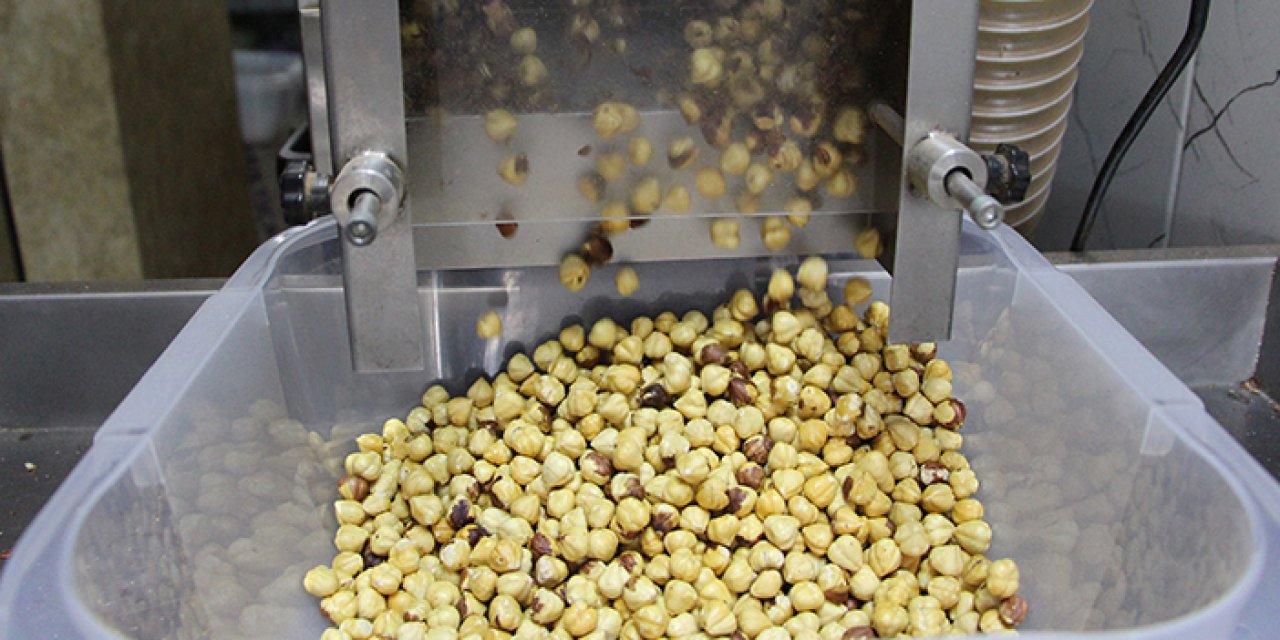 Trabzon'da fındık hasadı tamamlandı! Sıra kavrulmasında