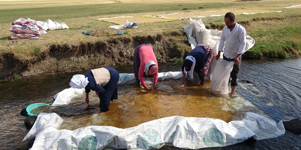 Bayburt'ta buğdayın tarladan değirmene yolculuğu sürüyor