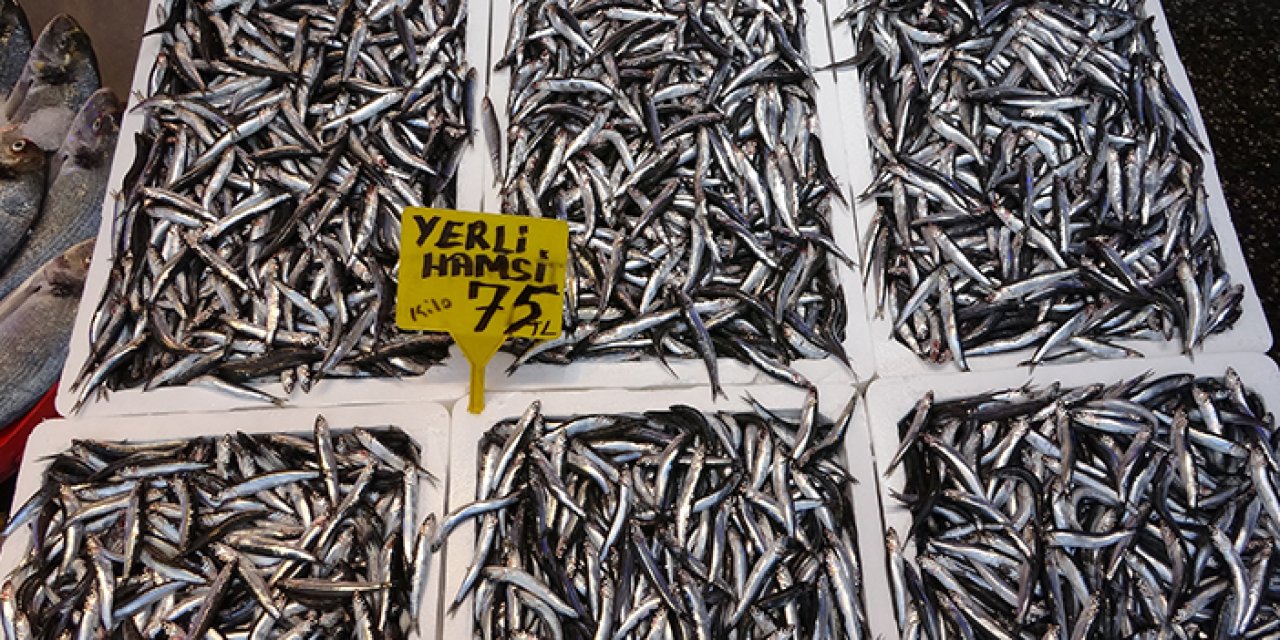 Trabzon'da hamsi sezonu erken başladı! Henüz ihracatı yapılmadı