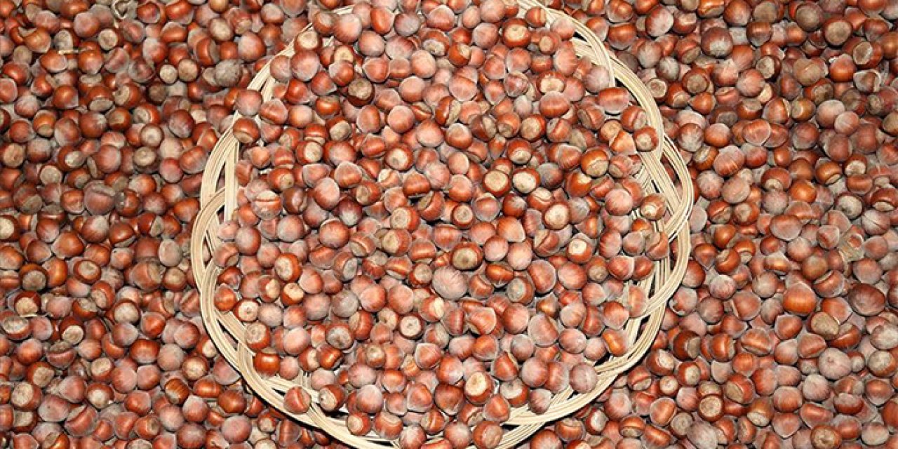 Giresun'da serbest piyasada fındık fiyatı yükseldi