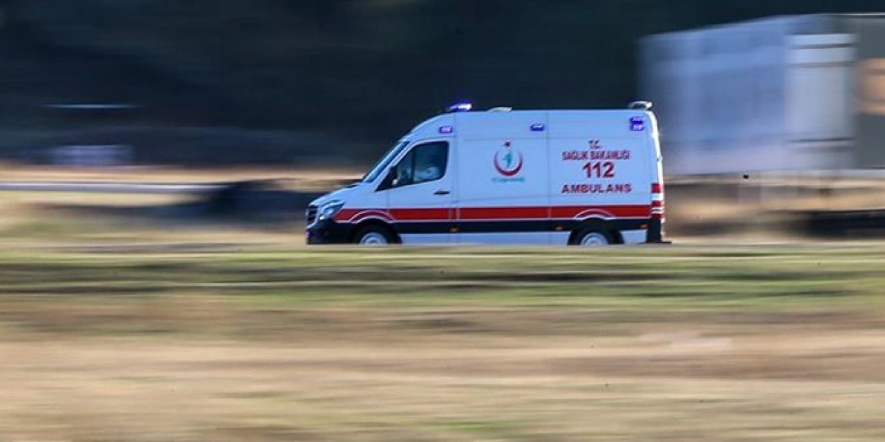 Çay tarlasında yürüyordu! Ayı saldırısına uğradı