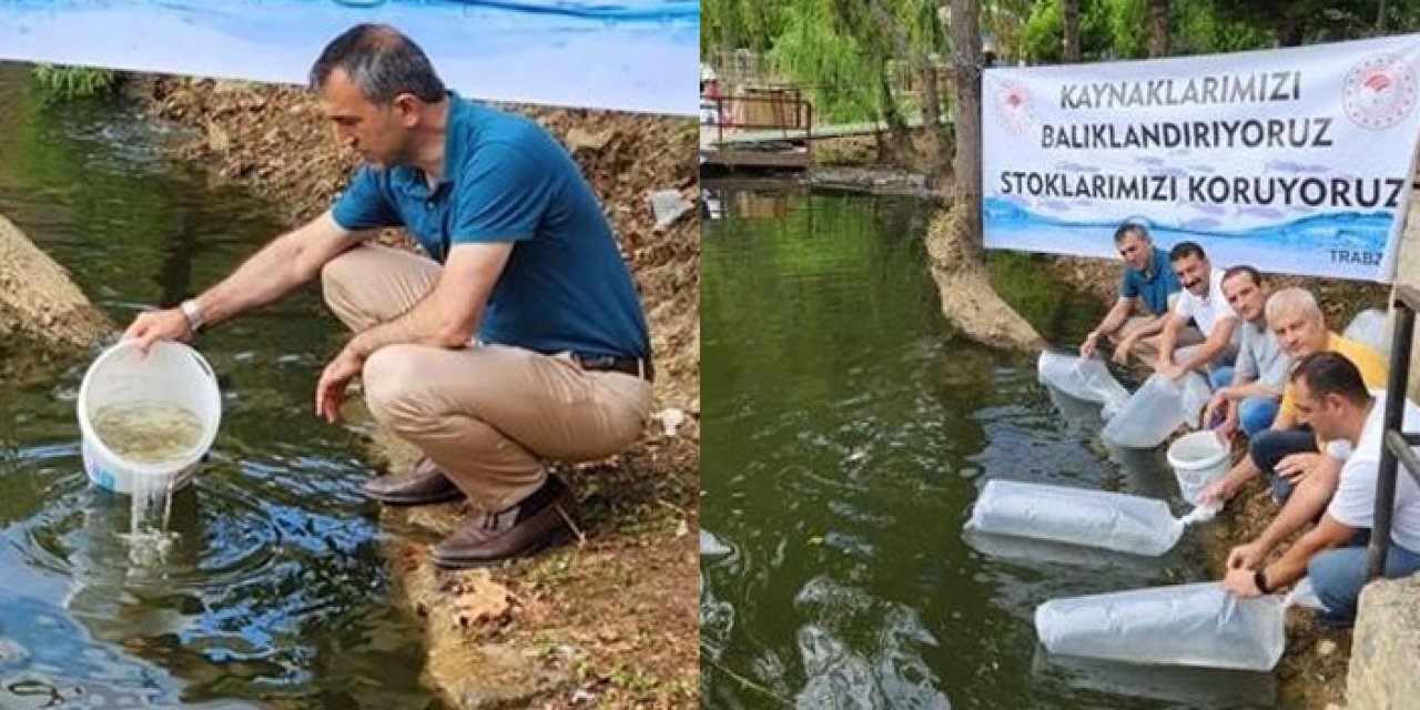 Amasya'da üretildi! Trabzon'da göllere bırakıldı