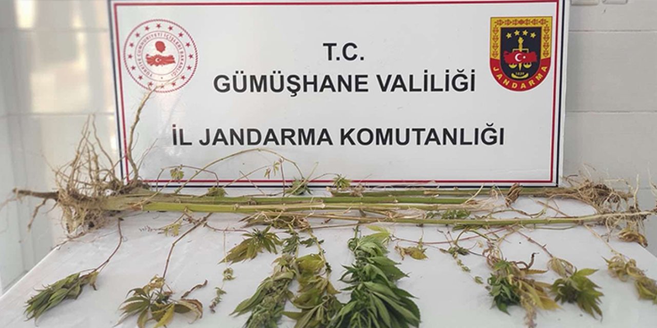 Gümüşhane'de jandarmandan uyuşturucu operasyonu! 2 gözaltı