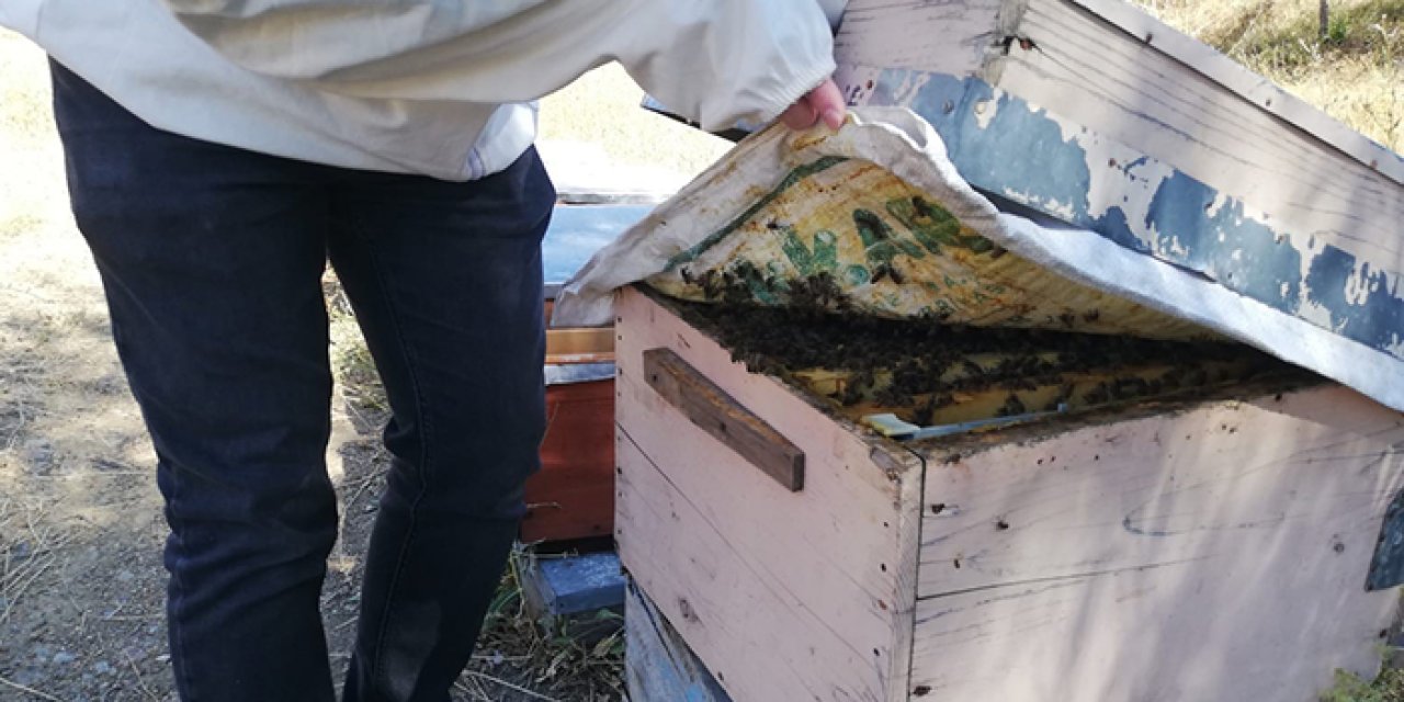 Bayburt’ta arılı kovan desteklemeleri