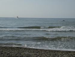 Ordu üniversitesi öğrencisiydi