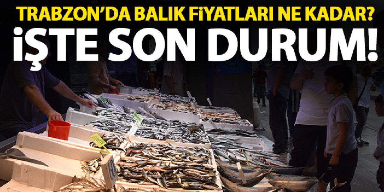 Trabzon'da balık fiyatları ne kadar? İşte son durum