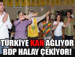 Türkiye Kan ağlıyor!