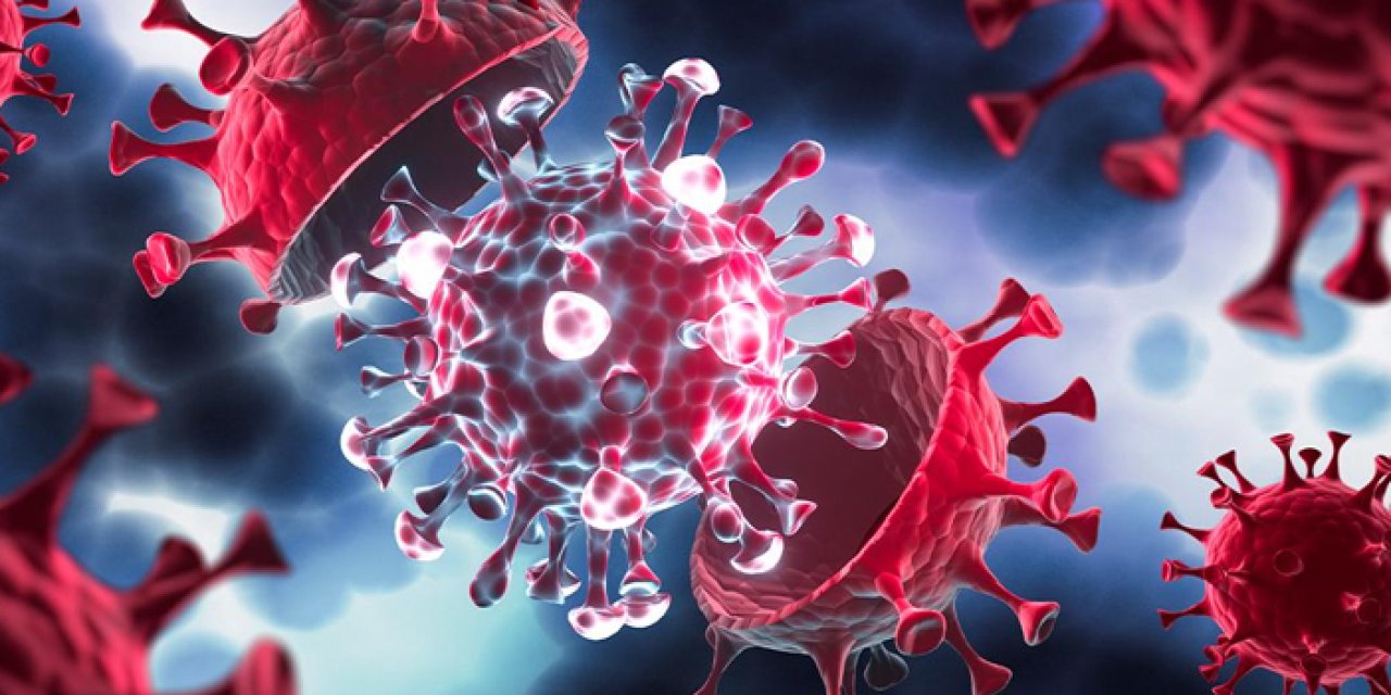 Bakan Koca açıkladı! Kapanma olacak mı? Aşı yapılacak mı?