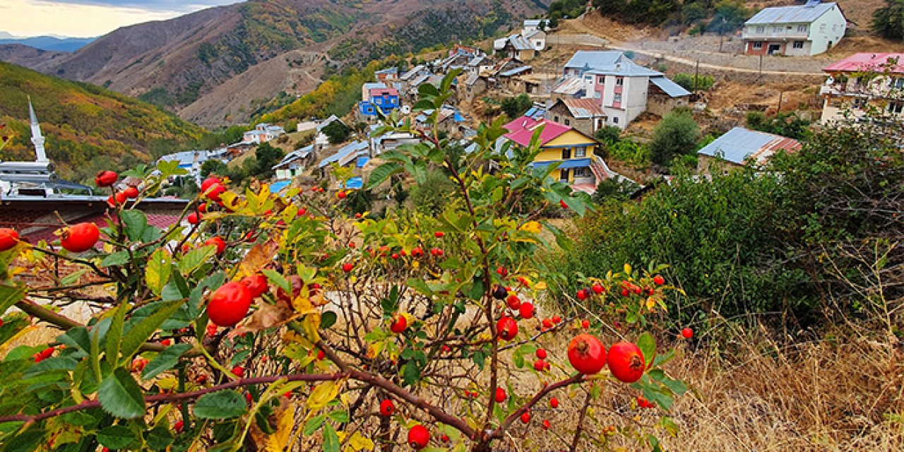 Gümüşhane dağları sonbaharda büyüledi