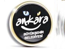 Ankara'da kedi krizi çıktı