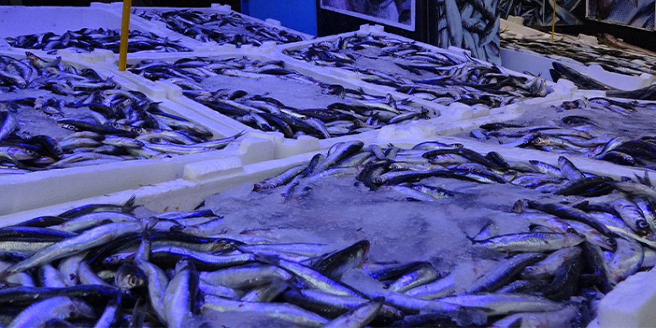 Trabzon'da hava muhalefeti etkisini gösterdi! Balık fiyatlarında artış