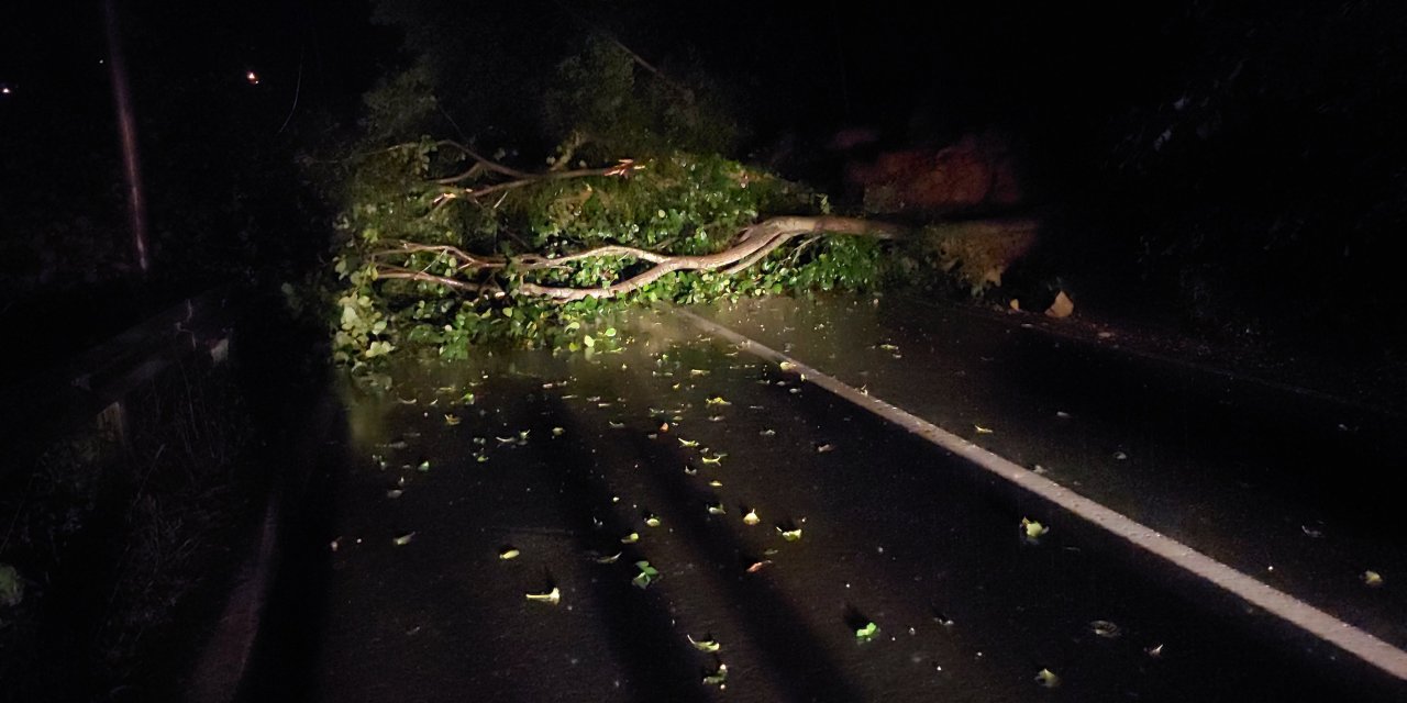 Rize'de heyelan yolu kapattı