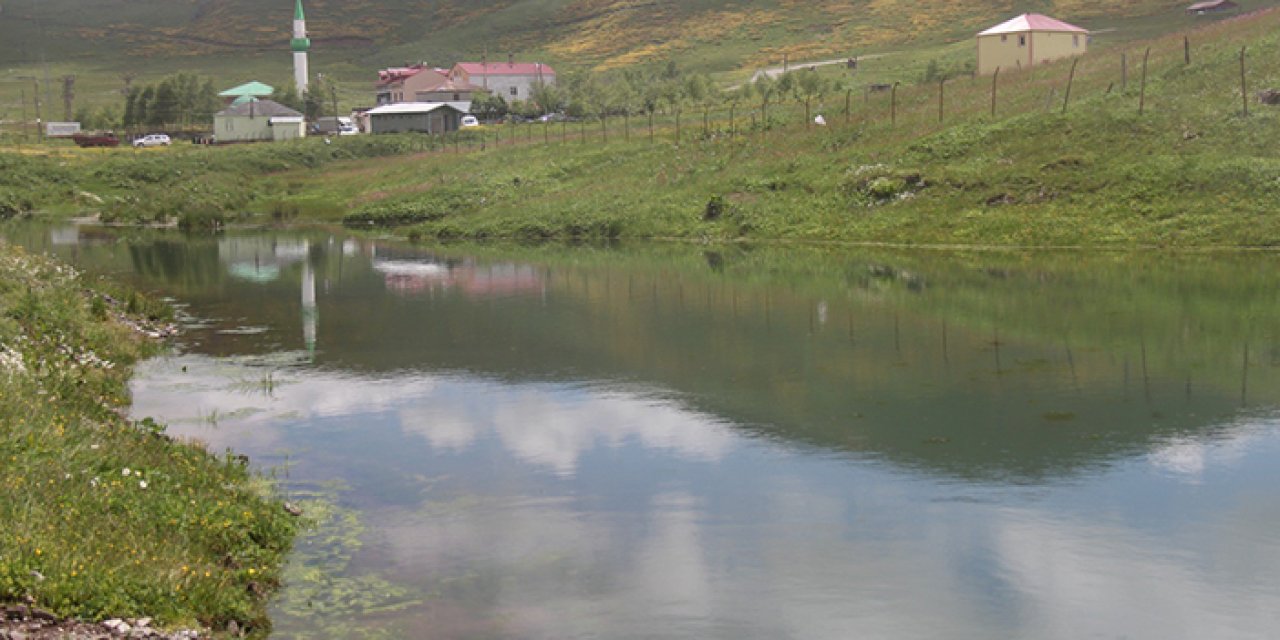 Trabzon'da yaylaların iklimi yumuşadı! İşte nedeni