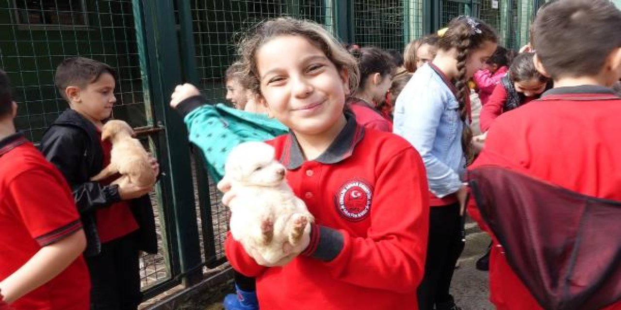 Trabzon'da öğrencilerden hayvan barınağına ziyaret