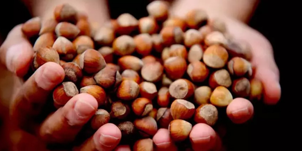 Ağustosta 19 bin tonun üzerinde fındık satıldı