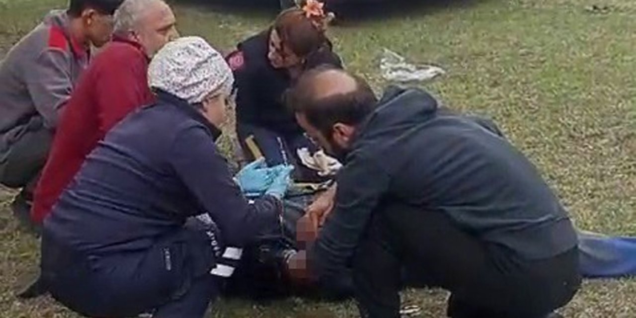 Artvin'de yaşlı adam tarlada ayının saldırısına uğradı