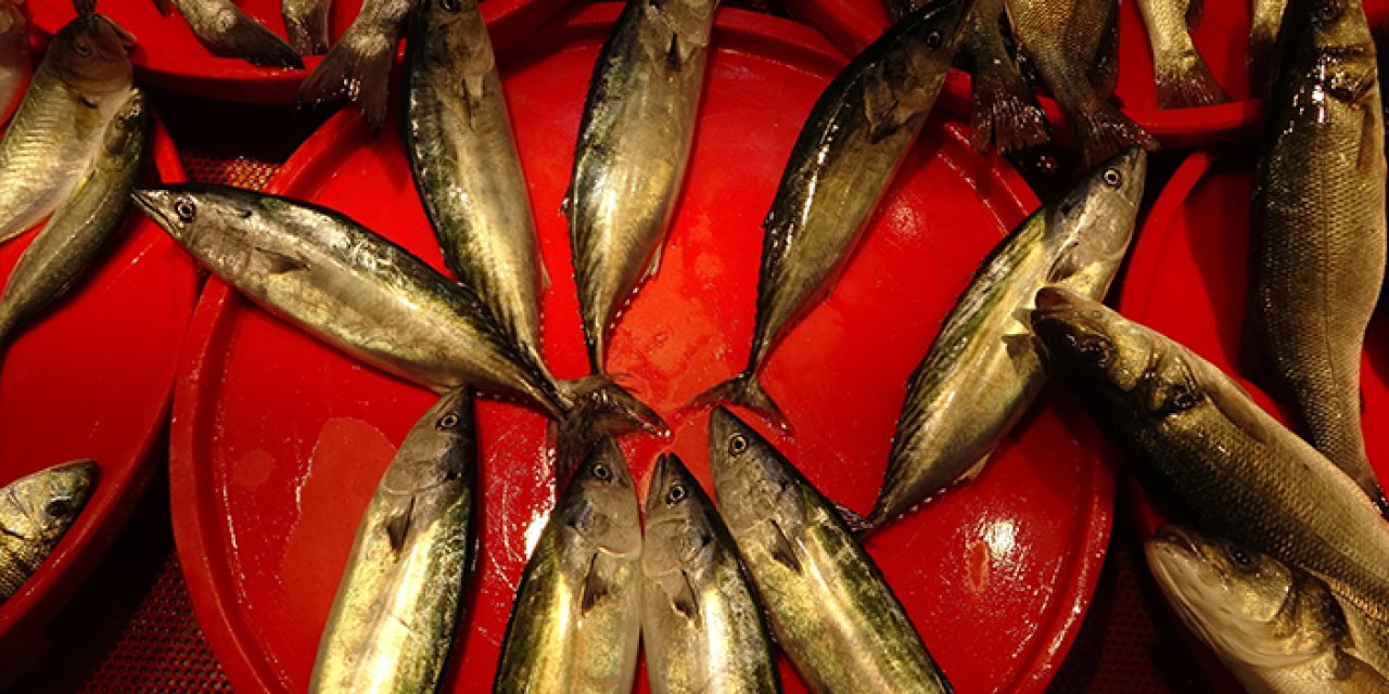 Trabzon'da sezon başından beri ağlara takılmıyordu! Sonunda tezgahlarda yerini aldı