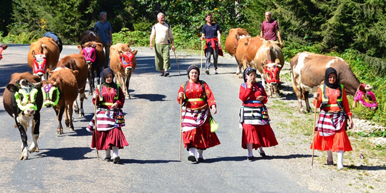 Doğu Karadeniz'de yayladan dönüş başladı