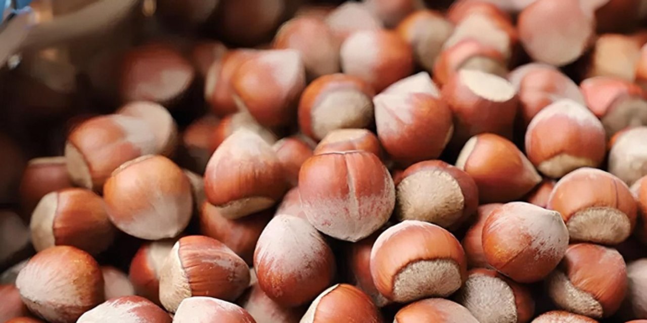 Trabzon'da fındık kaç liradan işlem görüyor? İşte güncel fiyatlar