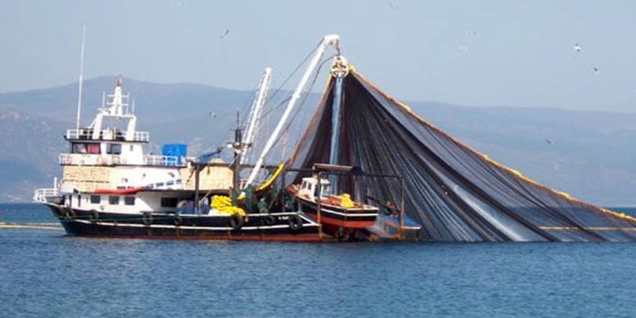 Palamut gitti, hamsi geldi