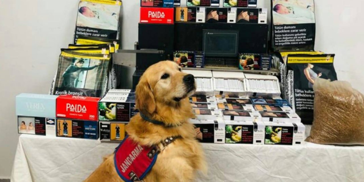 Trabzon’da Jandarma ve Emniyet’ten operasyon! Kaçak sigara imalathanesine baskın