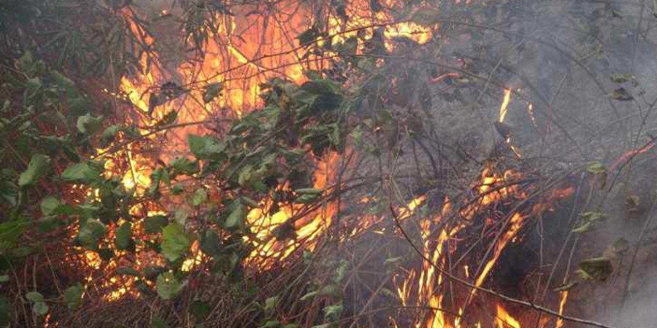 Giresun'da feci olay! Yaktığı ateşte yanarak can verdi