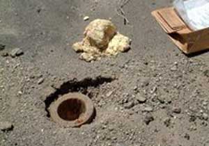 Bitlis'de mayın tuzağı