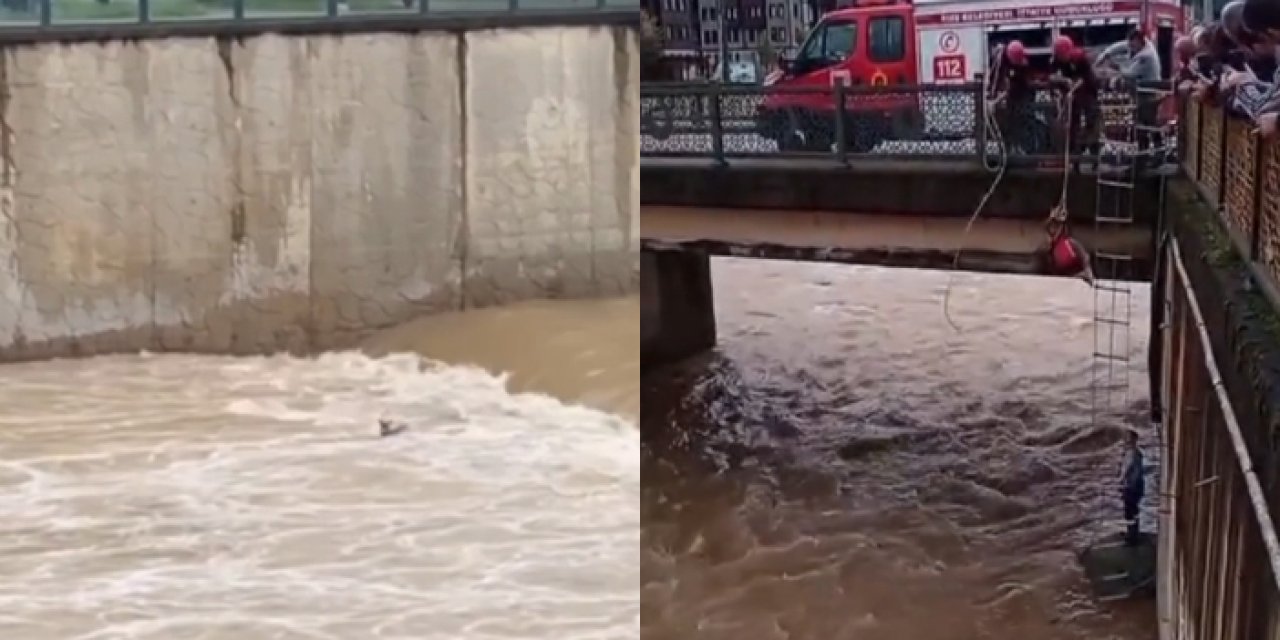Rize'de dereye düşen karaca kurtarıldı