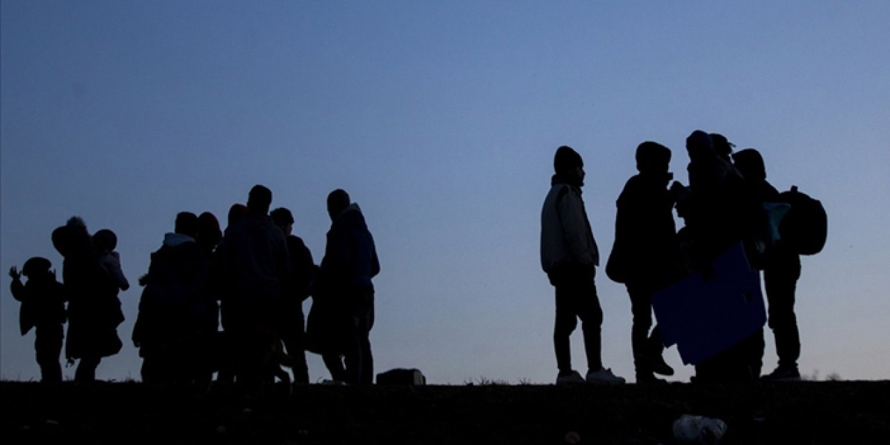 Artvin'de 2 düzensiz göçmen yakalandı