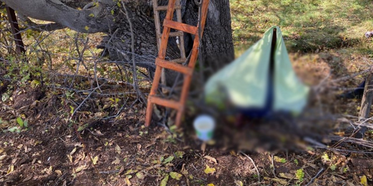 Bölgemizde üzücü olay! Ağaçtan düşen adam demire saplanarak hayatını kaybetti