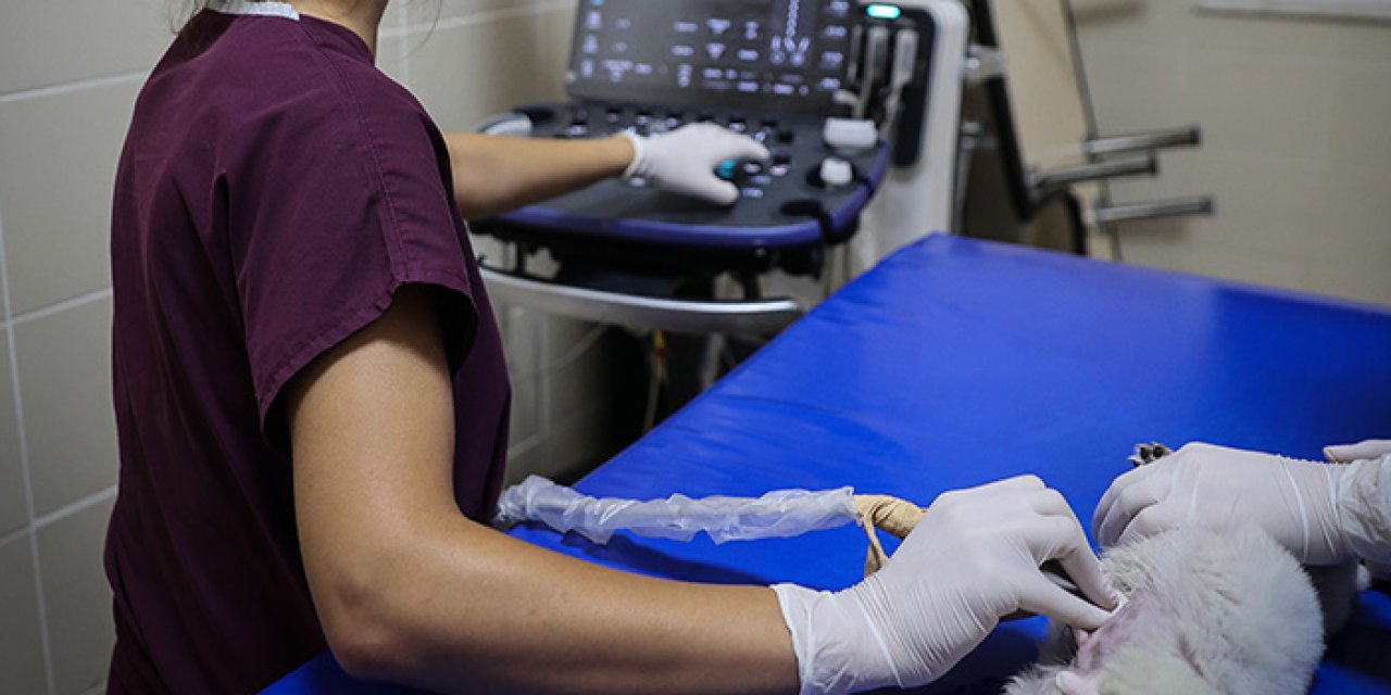 OMÜ Hastanesi Karadeniz Bölgesi'ne hizmet veriyor